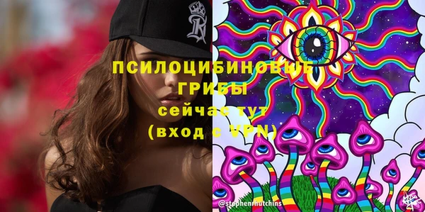 не бодяженный Аркадак