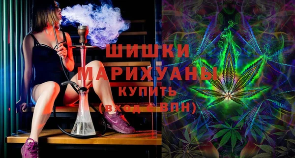 амф Арсеньев