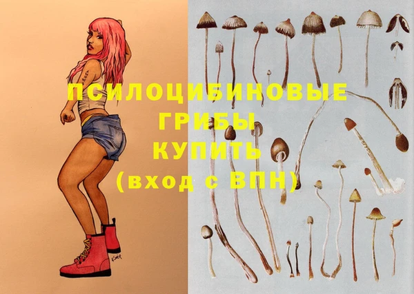 не бодяженный Аркадак
