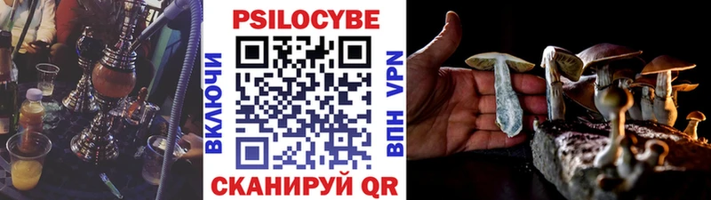 Псилоцибиновые грибы Psilocybine cubensis сколько стоит Боровск